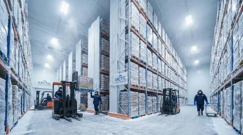 Understanding Cold Storage Features: Temperature Monitoring & Backup Systems