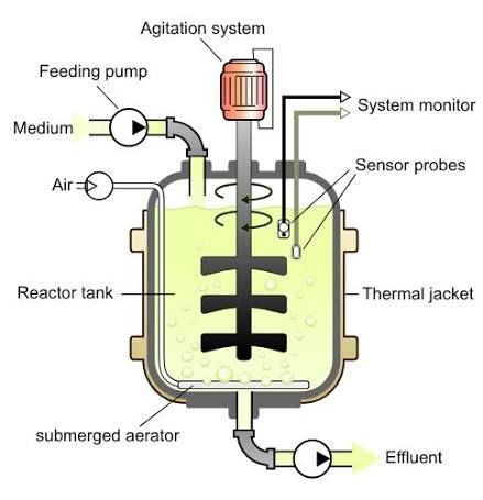 Comprehensive Guide to Bioreactor Process Control, Automation, and Monitoring